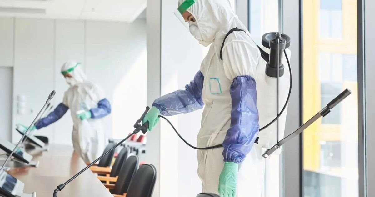 how to clean used furniture to prevent bed bugs