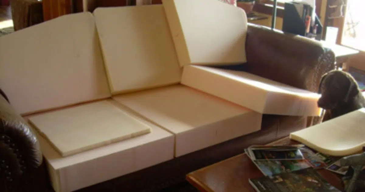 dry foam couch cushions