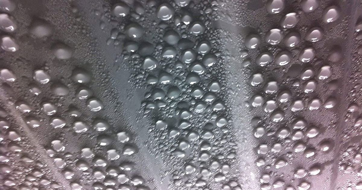 how to protect items in storage bins from moisture