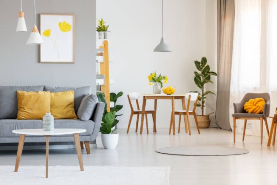 plants in boho style interior design